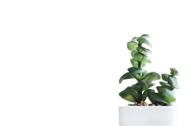 Shop Category Image 1 Optimized