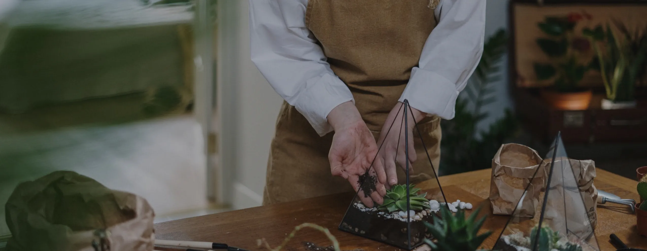 Video Cover Image Optimized